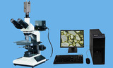 金相分析显微镜