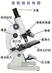 生物显微镜-单目