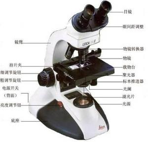 生物显微镜-双目